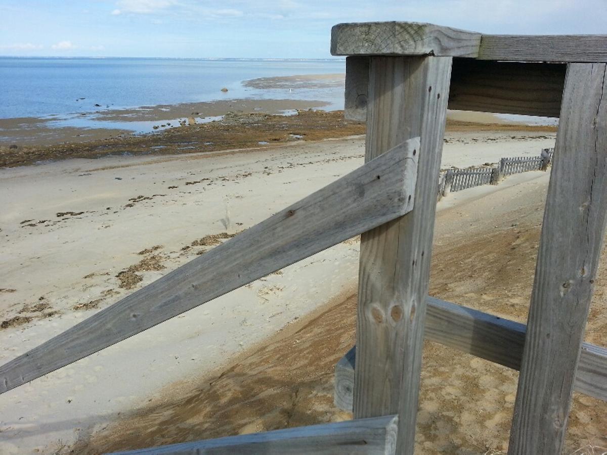 Starlight Lodge Cape Cod Деннис Экстерьер фото