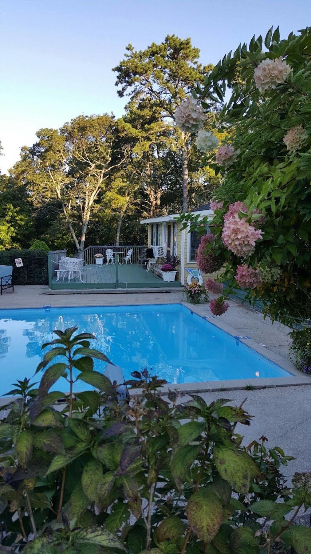 Starlight Lodge Cape Cod Деннис Экстерьер фото